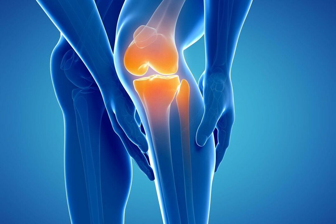 តើអ្វីទៅជា arthros នេះ